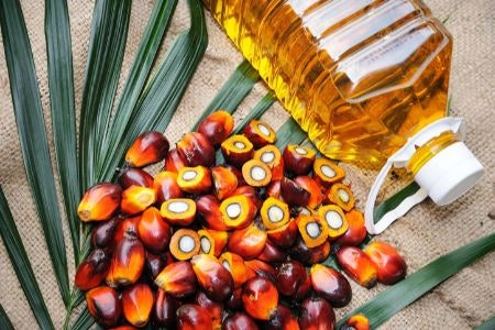 4. Palm Oil Is an Environmentally Controversial Product, Try to Avoid Unless It’s Sustainable