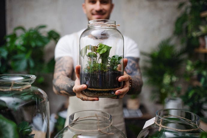 1. Decide Whether You’d Prefer an Open or a Closed Terrarium Depending on What Types of Plants You’re Adding 