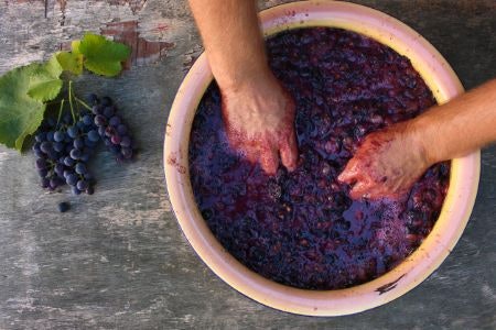 1. Understanding Tannins and Body: How to Select a Red Wine for Your Palette