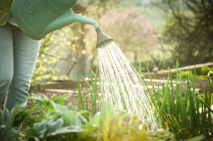 Watering Cans With Sprinkler Spouts Mimic Natural Rainfall