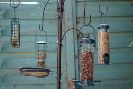 2. Look for a Feeder With a Large Number of Hooks and Holders if You Want to Offer the Local Birds a Variety of Delights