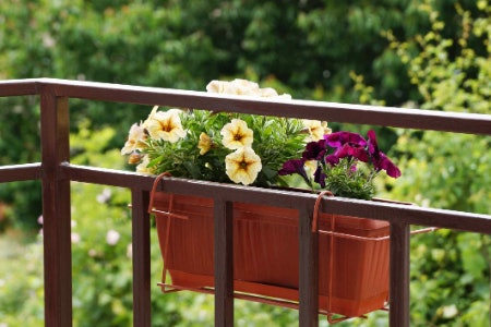 Consider Rail Hanging Baskets if You Can’t Modify Your Home