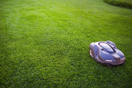 1. Pick a Mower That's Suited to the Shape and Size of Your Garden