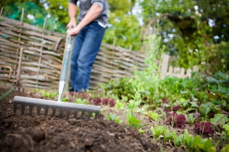 Soil, Stone and Multi-Purpose Rakes Are Your Heavy Hitters