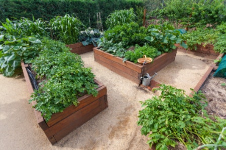 1. Pick a Garden Bed Made From Durable Materials Such as Wood, Plastic or Metal 
