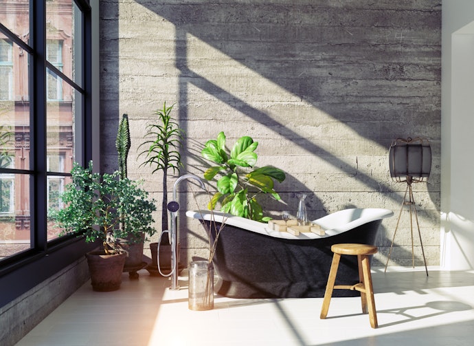 3. Consider Plants Such as Aloe Vera or Croton if Your Bathroom Receives Bright Sunlight, and Cast-Iron for Low Light