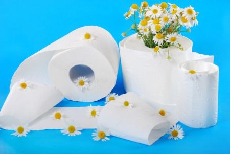 3. Go for Scent Infused Toilet Paper for Extra Luxury or a Soothing Ingredient Like Shea Butter for Superior Comfort