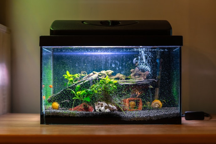 3. Opt for a Flow Rate of 4-6 Times the Water Volume of Your Tank