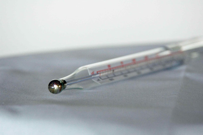 2. Consider the Material: Metal Thermometers Are Versatile, Glass Is More Affordable