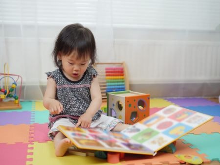 Distraction On-the-Go or Easy Reading for Toddlers
