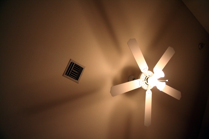 3. Opt For a Ceiling Fan With Lighting for a Dual Purpose Fixture 