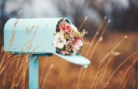What Are Letterbox Flowers and How do They Arrive? 
