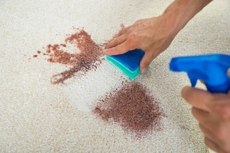How to Apply a Carpet Shampoo
