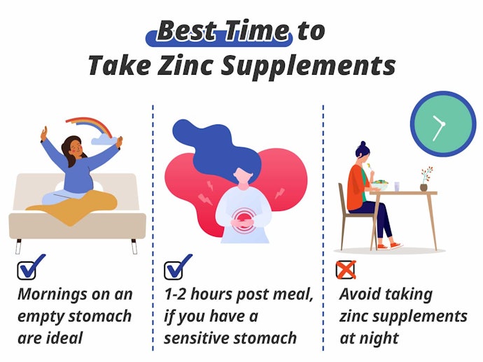 A. Mornings Are Best to Consume Zinc, Especially on an Empty Stomach