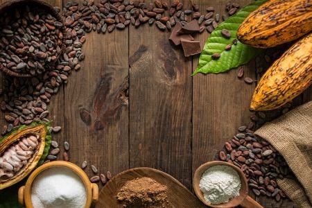 Consider the Cocoa and Sugar Content For Chocolate That Is Perfectly Balanced in Both Taste and Nutrition
