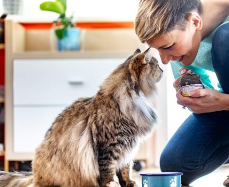 Consider Wet Cat Foods to Give Your Feline the Best Alternative to its Natural Diet