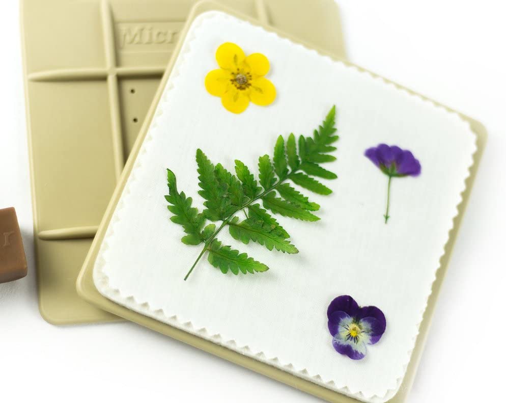 Top 10 Best Flower Press Kits in the UK 2021 (4M, House of Crafts and