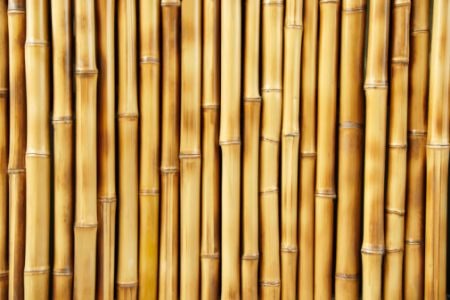 Bamboo Is Attractive and Sustainable, Just Be Careful to Avoid Scratching
