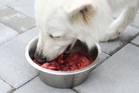 3. To Help Your Pet Stay Healhty, Look for Lean Meat With a Fat Content of 13% or Less