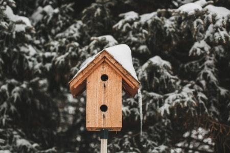 Multi-Box Bird Houses Provide Homes for Several Residents at Once