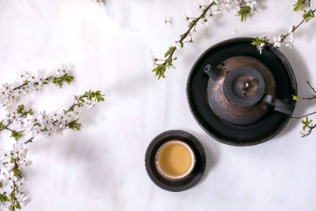 1. Understand the Variations and Select a Flavour: Sencha Is Herbal While Genmaicha Has a Nutty Taste