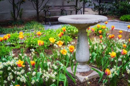 1. Pick a Bird Bath With a Support System That Suits Your Outdoor Space