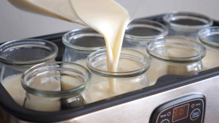 1. Choose the Style of Yoghurt Maker That Matches Your Skill Level