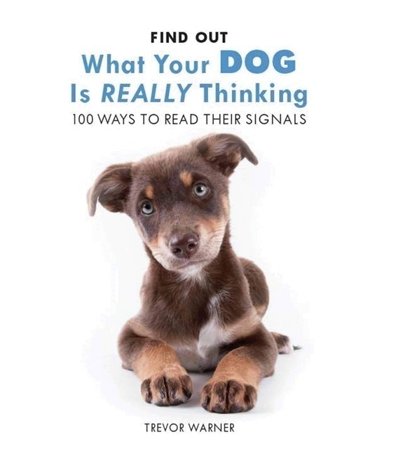 Trevor Warner What Your Dog is Really Thinking 1