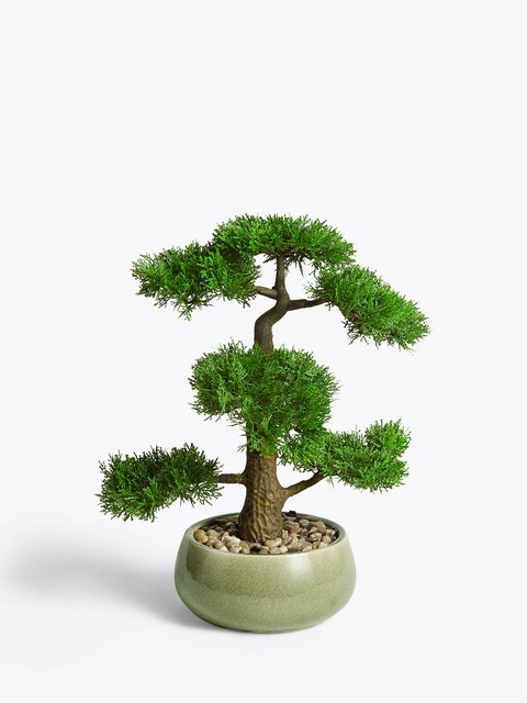 john Lewis Artificial Bonsai Pine Tree 1