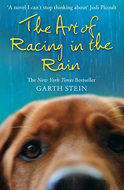 Garth Stein The Art of Racing in the Rain 1