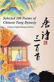 Top 10 Best Books to Learn Chinese in the UK 2021 4