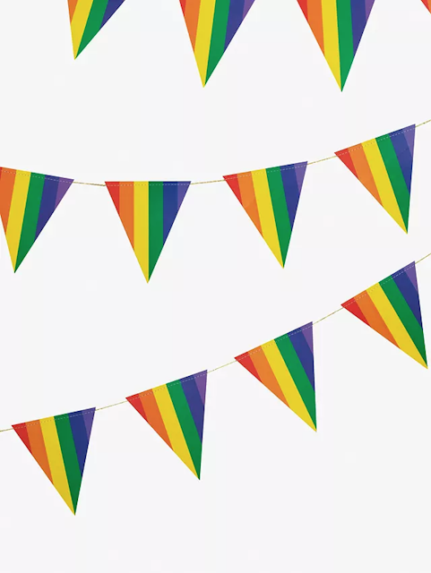 Ginger Ray  Party Triangle Bunting 1