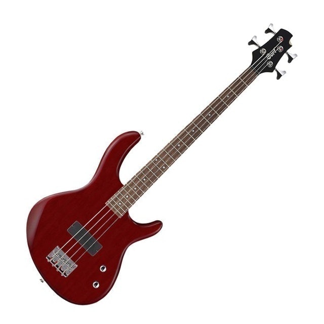 Top 10 Best Bass Guitars for Beginners in the UK 2021 (Yamaha, Fender