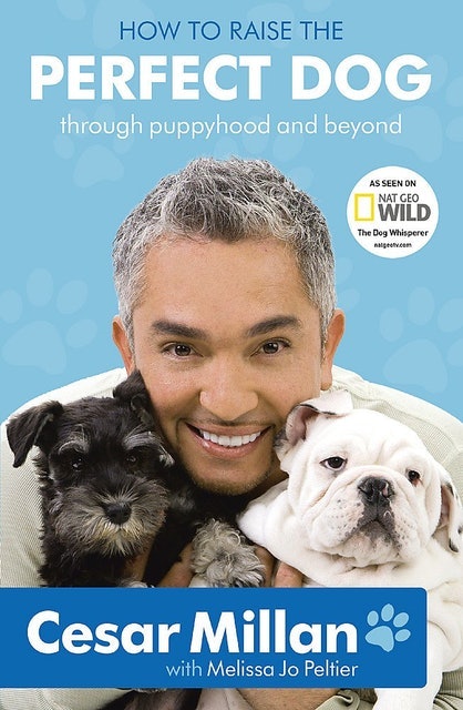 Cesar Millan How to Raise the Perfect Dog 1