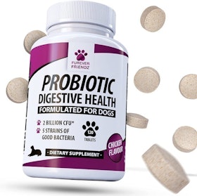 10 Best Probiotics for Dogs UK 2022  | PURINA, Buddy & Lola and More 5