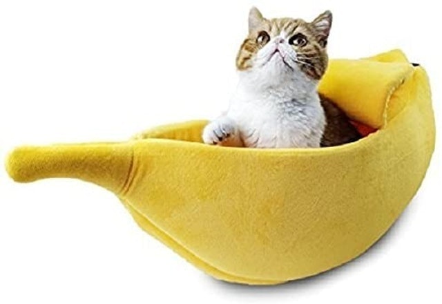 Petgrow Cute Banana Cat Bed  1