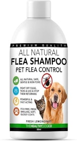 10 Best Cat Shampoos 2022 | UK Veterinarian Reviewed 2