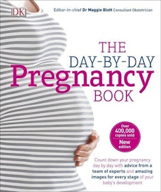 10 Best Pregnancy Books UK 2022 | Rebecca Schiller, Emily Oster and More 1