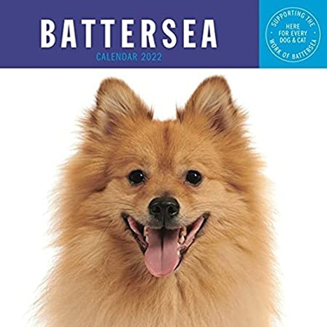 Battersea Dogs and Cats Home Dogs Calendar 2022 1