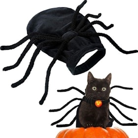 10 Best Halloween Costumes for Cats UK 2022 3
