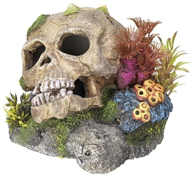 Nobby Fish Tank Skull Ornament With Plants 1