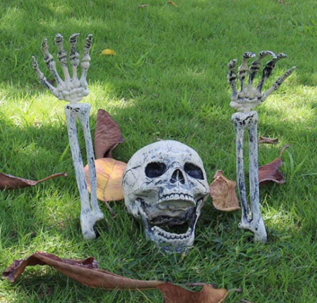 willkey Fake Skeleton Head and Hands  1