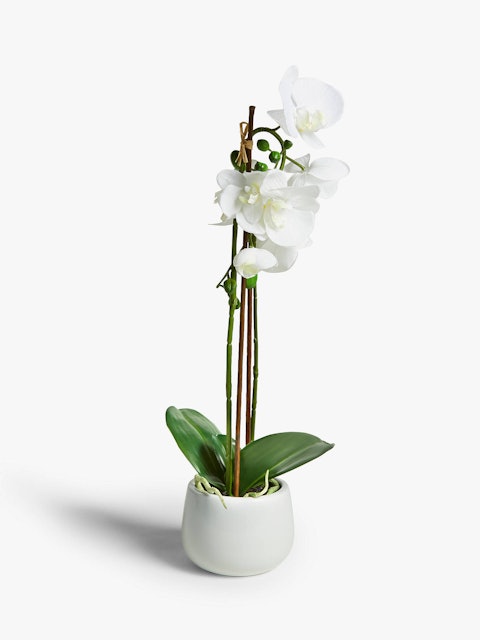 House by John Lewis  Artificial Orchid  1
