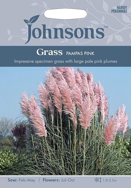 Johnsons Pink PampasGrass 1