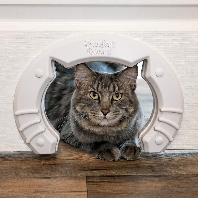 Purrfect Portal Interior Pet Door for Cats 1