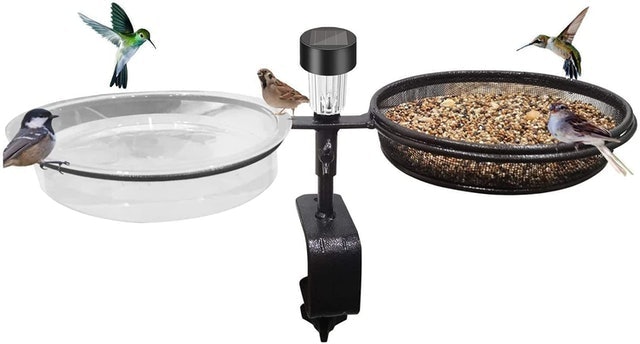 Taylor & Brown Metal Clamp Bird Feeding and Bathing Station 1