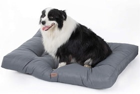 10 Best Waterproof Dog Beds UK 2022  | Danish Design, Bunty and More 5