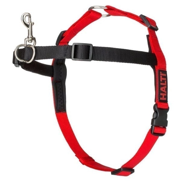 The Company of Animals Halti Front Control Dog Harness 1