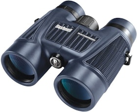 10 Best Birdwatching Binoculars UK 2022 | Nikon, Bushnell and More 3