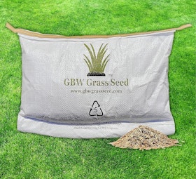 10 Best Grass Seeds UK 2022 | Miracle-Gro, The Grass People and More  4